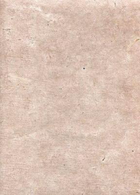 Toilé gris éléphant, papier népalais