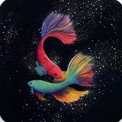 Carte d'art, poissons en couleur