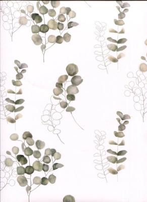 Papier fantaisie anglais, croquis d'eucalyptus