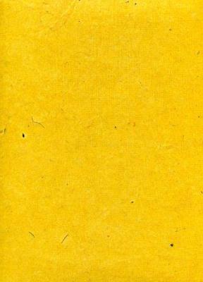 Toilé jaune, papier népalais
