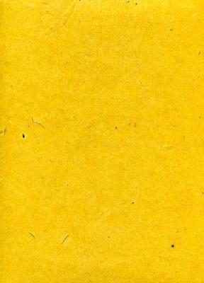 Toilé jaune, papier népalais