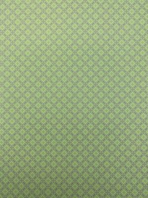 Shiogami vert, papier fantaisie indien