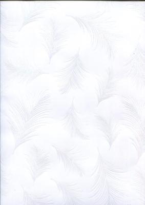 Plume hologramme sur blanc, papier fantaisie