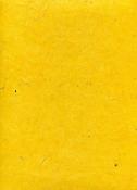 Toilé jaune, papier népalais