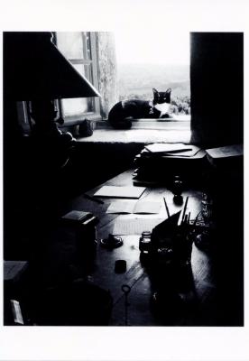 Le chat de l'écrivain, carte postale