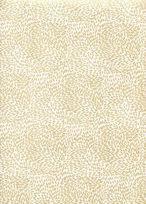 Papier fantaisie indien, kaori ivoire et or 