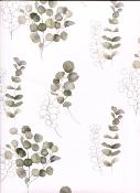 Papier fantaisie anglais, croquis d'eucalyptus