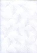Plume hologramme sur blanc, papier fantaisie