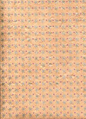 Etoile et pois saumon et argent, papier népalais