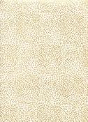 Papier fantaisie indien, kaori ivoire et or 