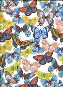 Papier fantaisie recto verso nuée de papillons