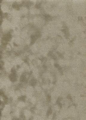 Soft taupe, papier simili velours